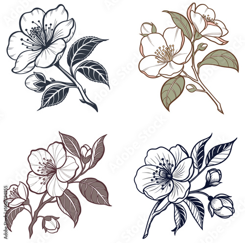 A camellia icon with slightly curled petals and a detailed center. 