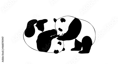 Playful pandas engaged in affectionate interaction, a heartwarming illustration of companionship, perfect for children's projects and wildlife themes, conveying joy and family love.