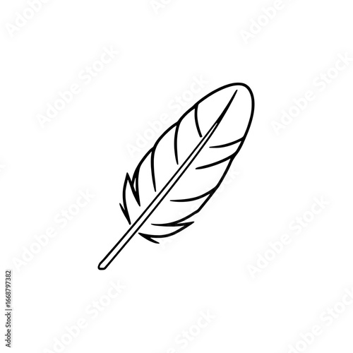 Feather: A Symbol of Lightness and Freedom