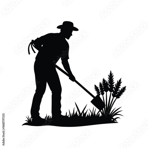 Silhouette of a man gardening with a shovel near wheat plants., farmer harvesting crops illustration silhouette