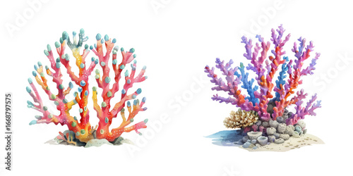 coral under the sea watercolor vector illustration