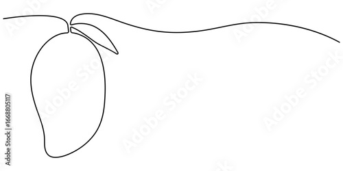 Mango icon continuous one line drawing vector illustration. One line drawing art illustration with organic mango, Continuous one line drawing of mango fruit with leaf. Continuous one line drawing. 