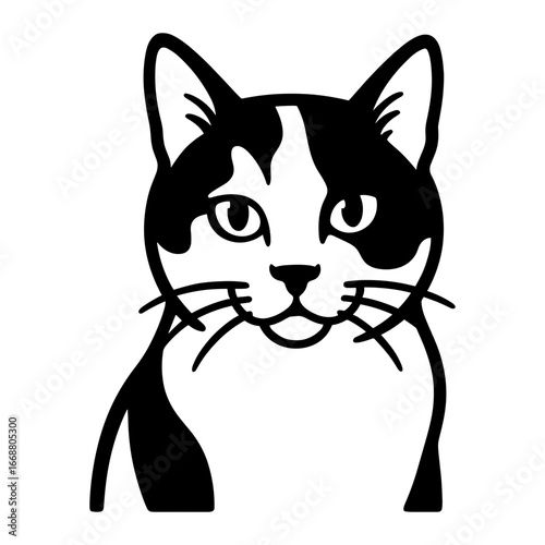 Calico Cat Portrait