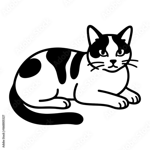 Calico Cat Laying Down