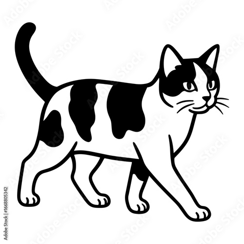 Calico Cat Walking