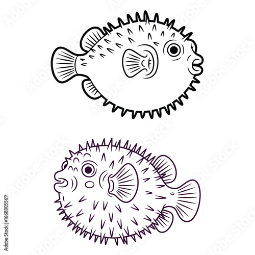 Pufferfish illustration marine ocean