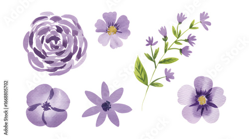 Artistic hand painted lavender blossoms in soft watercolor brush tone with natural leaves.