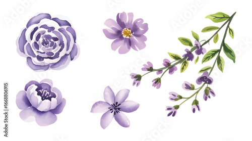 Artistic hand painted lavender blossoms in soft watercolor brush tone with natural leaves.