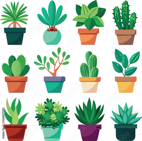 Collection of assorted potted houseplants and cacti bringing greenery and life to indoor spaces