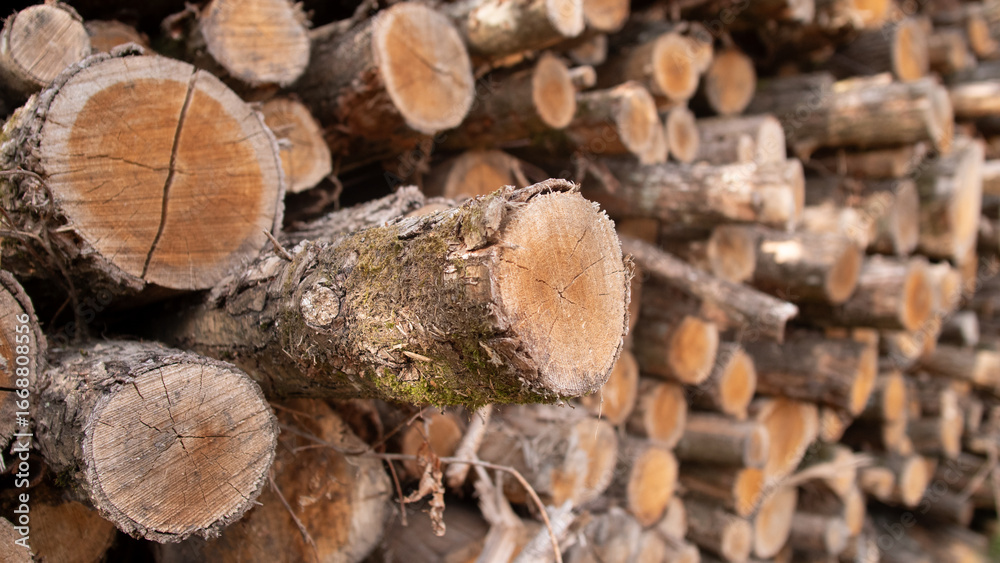Logs are neatly stacked in a woodpile, displaying various sizes and textures. The warm tones of the timber provide a rustic charm, ideal for winter heating and construction Logs are neatly stacked in a woodpile, displaying various sizes and textures. The warm tones of the timber provide a rustic charm, ideal for winter heating and construction