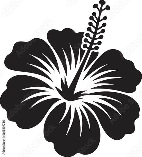 Vector black silhouettes of flowers isolated on a white background.