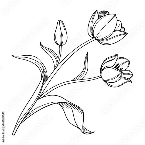 A vector illustration of a vintage floral design featuring a set of black and white flowers, leaves, and buds