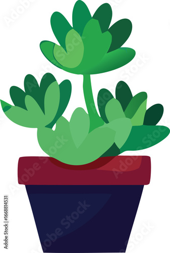 Vibrant green succulent plant in a stylish red and dark blue planter ideal for home decor and gardening enthusiasts