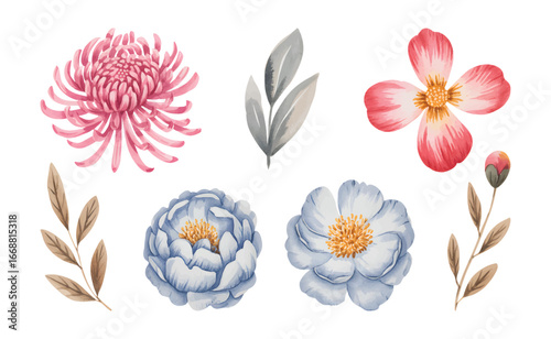 Soft watercolor chrysanthemum and peony blossoms with natural leaves. Watercolor floral collection in pastel tones with leaves.