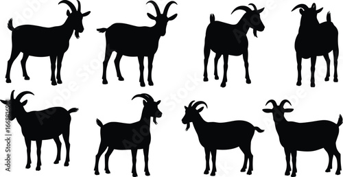 Goat silhouette vector set, black animal shapes, livestock poses, horned goat illustration, farm animal clipart, cad drawing flat vector illustration