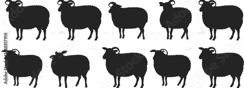 Sheep silhouette vector set, farm animal shapes, livestock icons, black sheep poses, wool animal clipart, cad drawing flat vector illustration