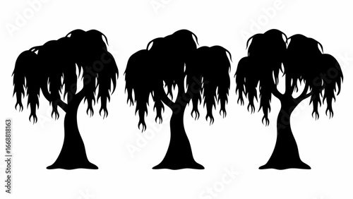 Three black silhouette weeping willow trees isolated on a white background in a simple vector illustration | editable eps vectors