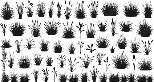 The silhouette of the grass big set. Vector illustration
