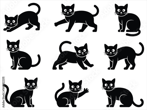 Nine black cats in various poses feline animals