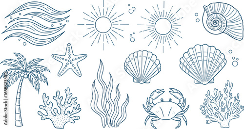 Marine and beach vector illustration with waves, sun, seashells, palm tree, starfish, coral, seaweed, and crab in stylized line art