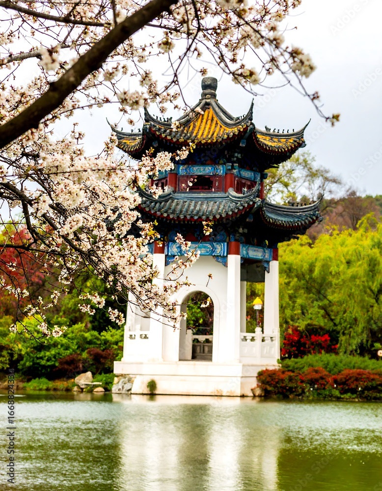 Fototapeta premium Peaceful Asian Pavilion by a Pond