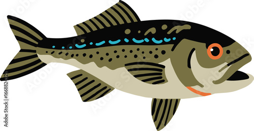 Atlantic cod fish swim underwater ocean marine life animal vector