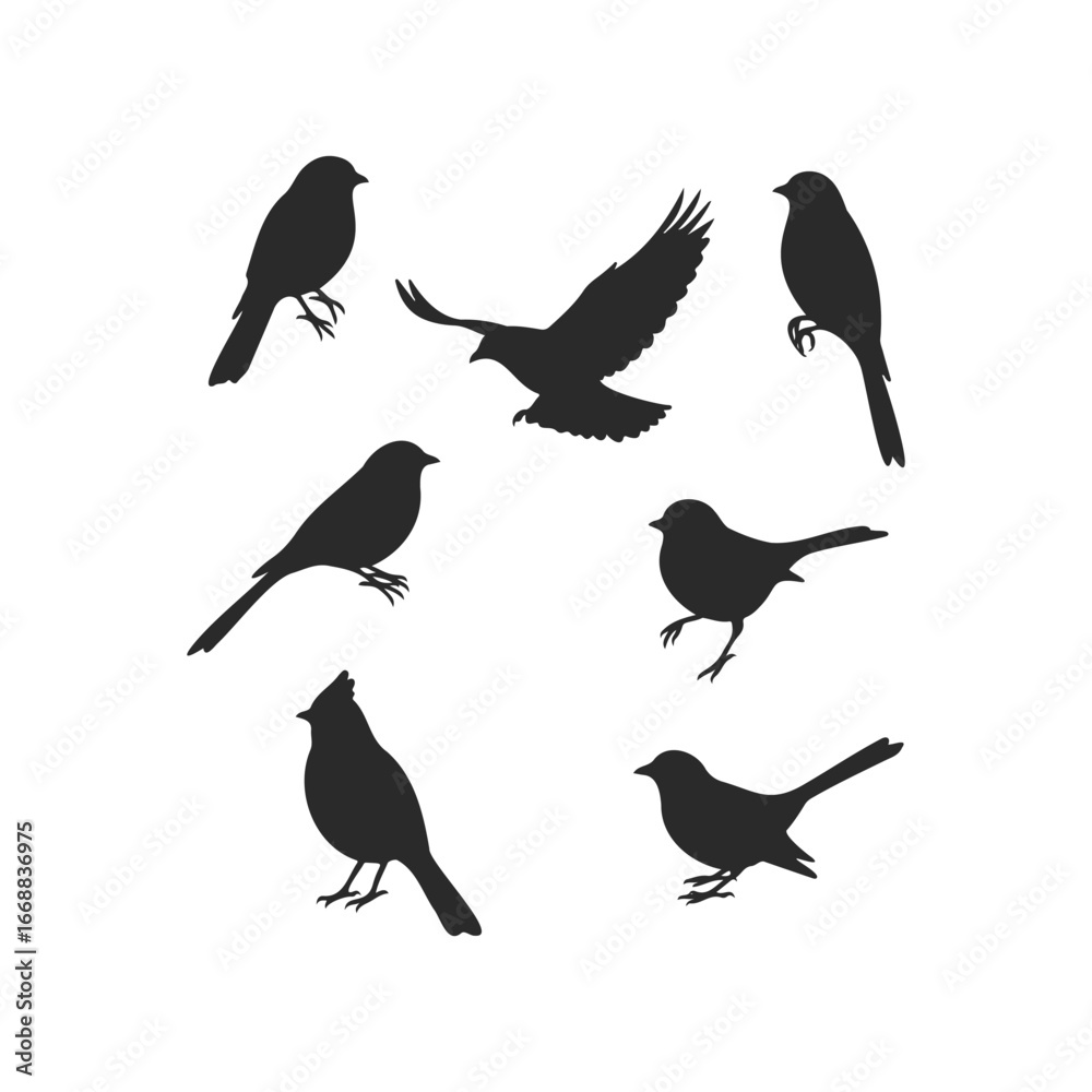 Obraz premium Silhouette collection of various bird species in different poses