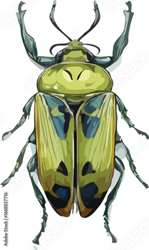 insects vector art