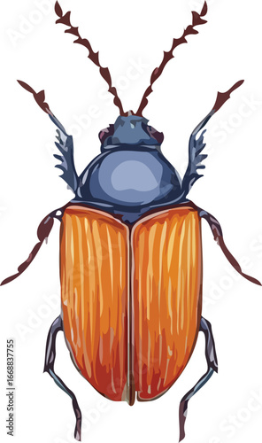 insects vector art