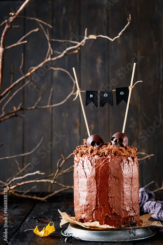 Halloween party background. Spooky and funny chocolate cake layered brownie with earthy crumbs with dark and white chocolate sculls, old bare branches and dry fallen leaves, copy space.