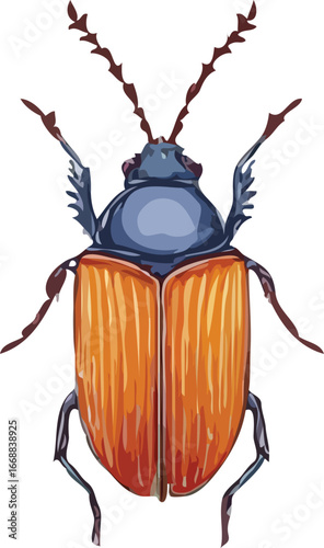 insects vector art