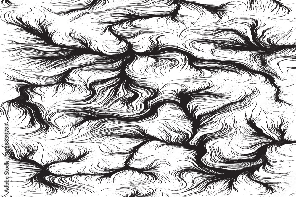 Fototapeta premium Abstract Black Ink Flow Pattern on White Background