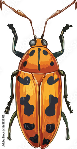 insects vector art