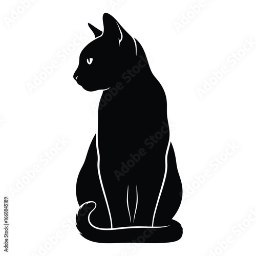 Mysterious black cat sitting gracefully looking sideways with intense eyes a silhouette silhouette