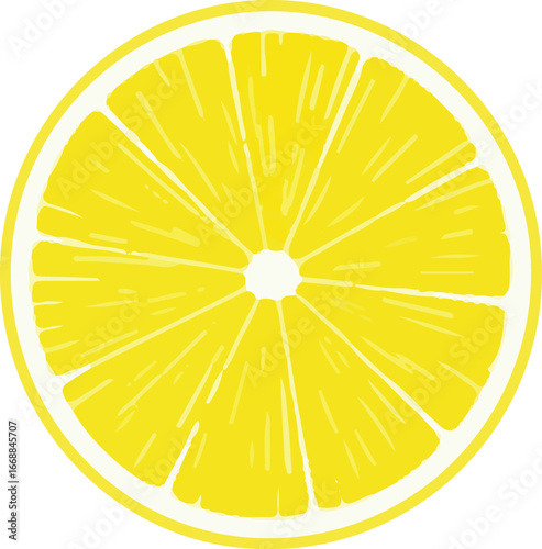 Citrus fruit slices. citrus cut food, freash fruit, half citron lemon ripe slice vector illustration.Lemon icon.Lemon logo.