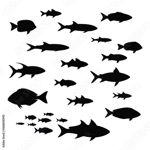 Silhouette of a school of diverse fish swimming in ocean water aquatic life forms underwater scene silhouette