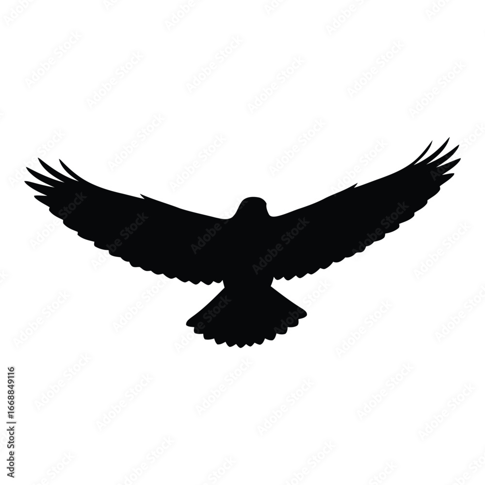 Fototapeta premium Silhouette of a majestic eagle with wings spread wide in flight against a clean white backdrop silhouette