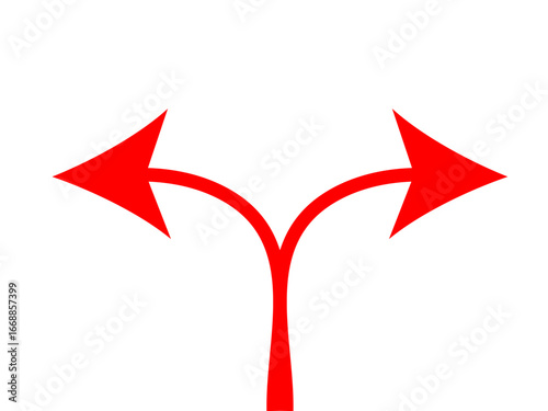 A red arrow splits into two separate arrows pointing in opposite directions, symbolizing a choice or divergence.