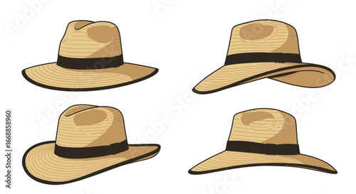 Elegant array of straw panama hats featuring diverse brim styles on plain background