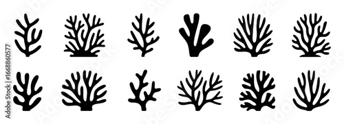 Collection of Black Silhouette Coral Icons on White Background