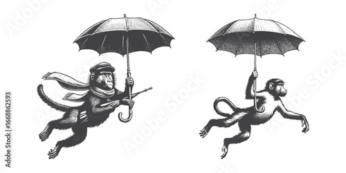 Vintage Hand-Drawn Baboon Flying With Umbrella Illustration, Primate Animal Engraved Vector for Fantasy and T-Shirt Design