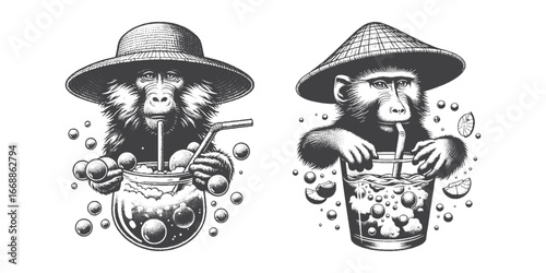 Vintage Hand-Drawn Baboon Drinking Ice Illustration, Primate Animal Engraved Vector for Summer and T-Shirt Design