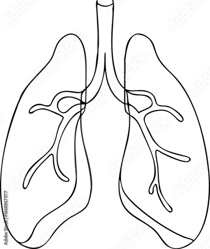 lung single line illustration drawing eps