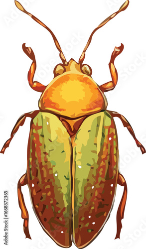 insects vector art