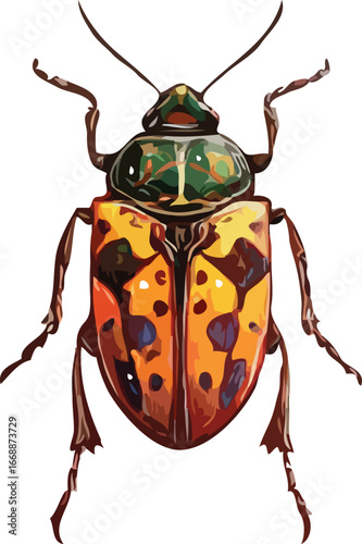 insects vector art