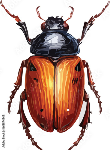 insects vector art