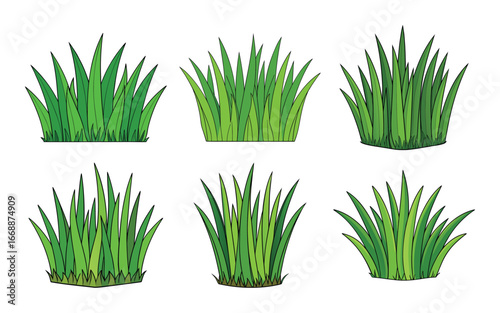 set of green grass