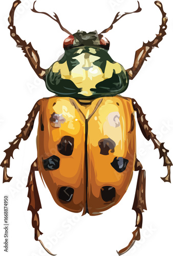 insects vector art
