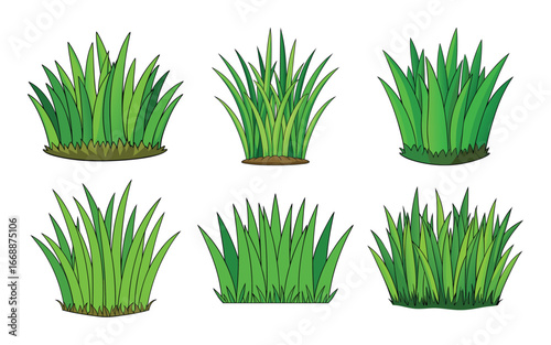 green grass isolated