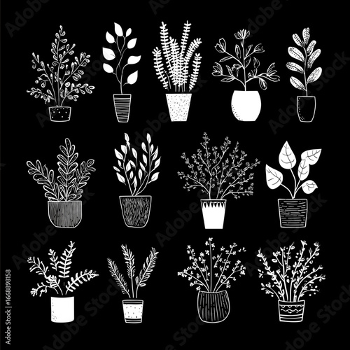 black and white simplified drawings of plants in vector style.